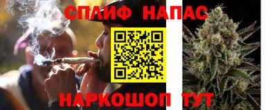 СК Бугуруслан