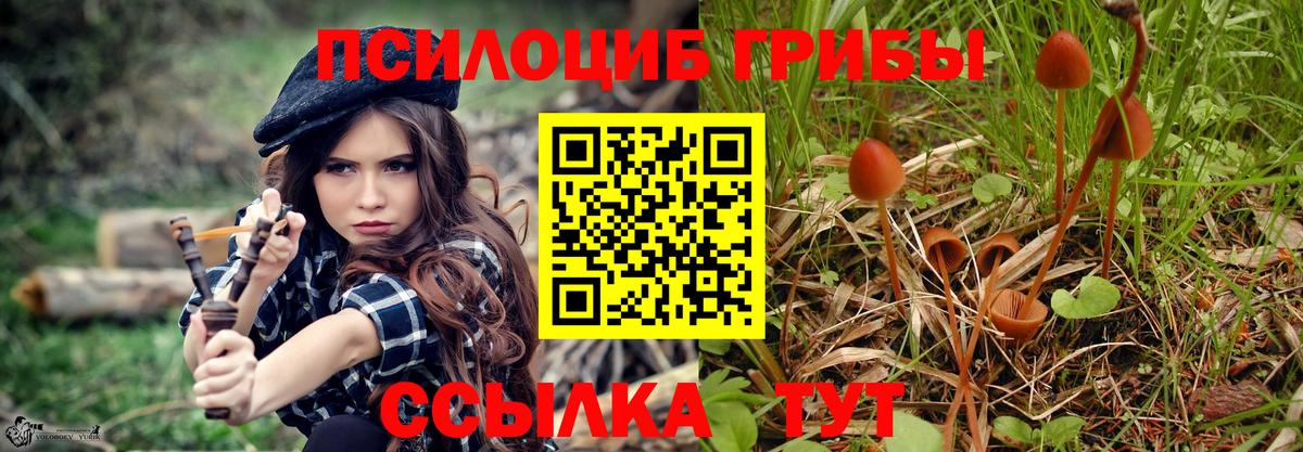 Галлюциногенные грибы мицелий  Галлюциногенные грибы MAGIC MUSHROOMS  Стрежевой  дарнет шоп  Вход с VPN 