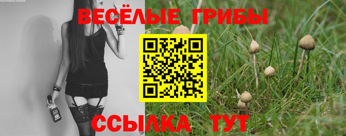 Галлюциногенные грибы MAGIC MUSHROOMS Стрежевой